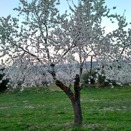 Casa di campagna Rosa